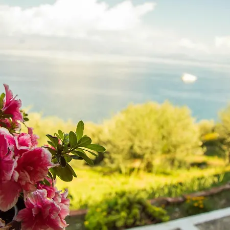 Marianna Летний дом