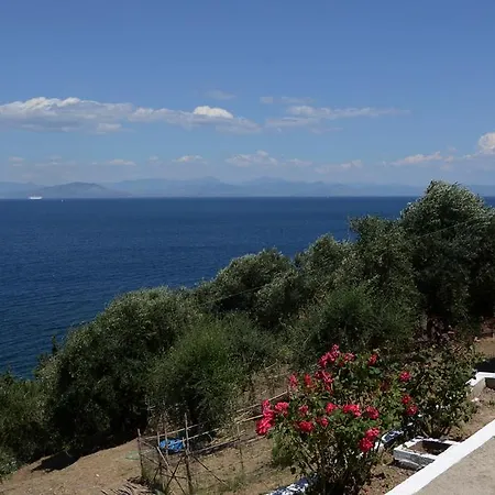 Marianna Casă la țară